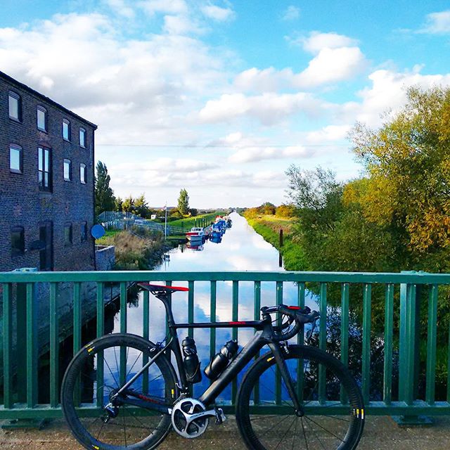 11202928_1634561186796404_242878580_n