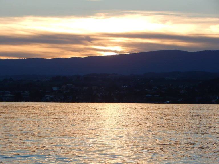 11233570_10153568254959898_3187603892783335616_o