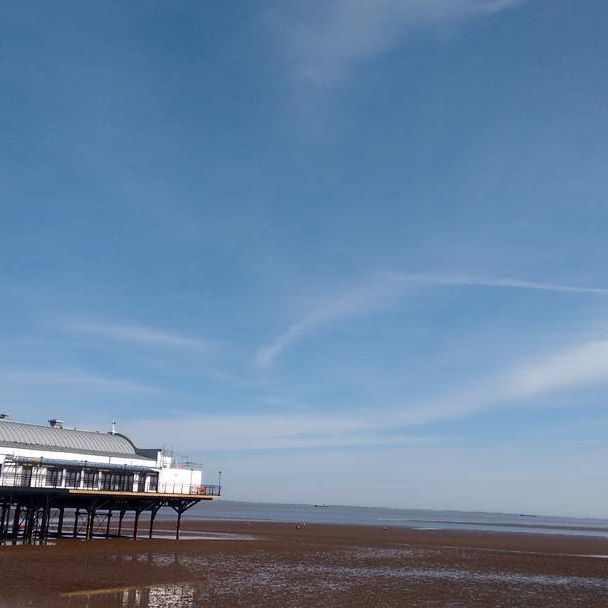 11909329_980876625284907_874919183_n