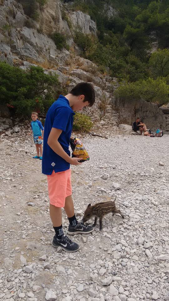 12006384_10153561675344898_8291348707622570605_n