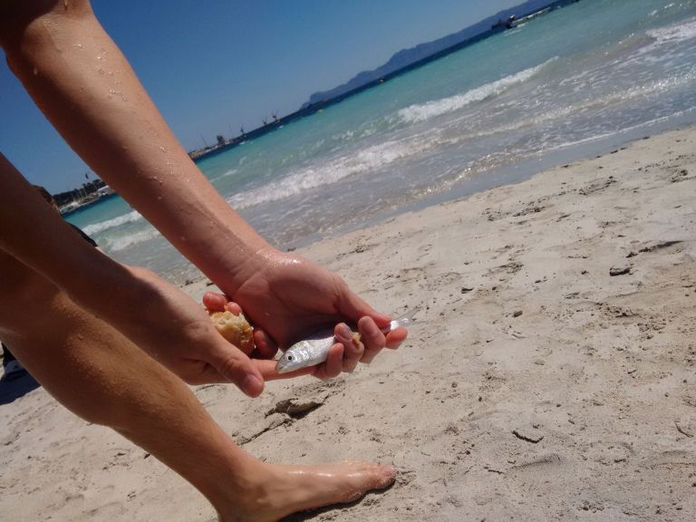 14054331_10154389042694898_3937800758677867334_o