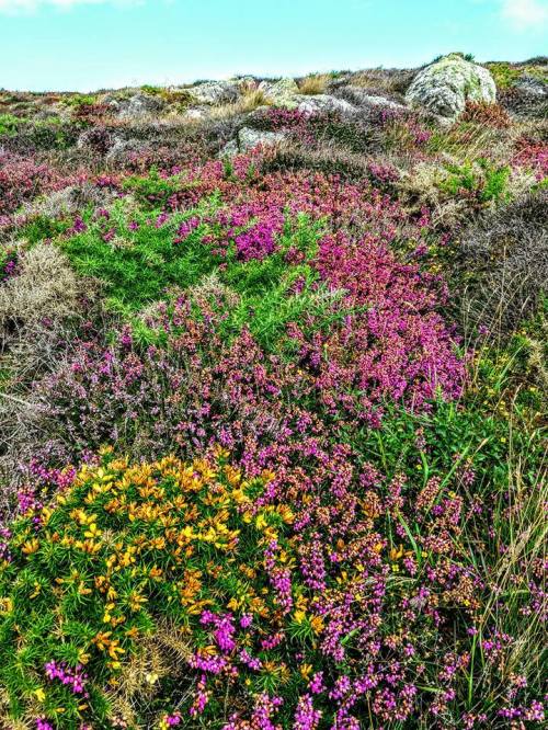 13887019_10154426179947002_1001102230222021642_n