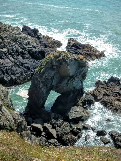 13921153_10154426179417002_6245677714775110356_n