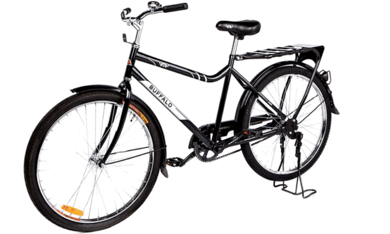 Buffalo bike pic 2 2017