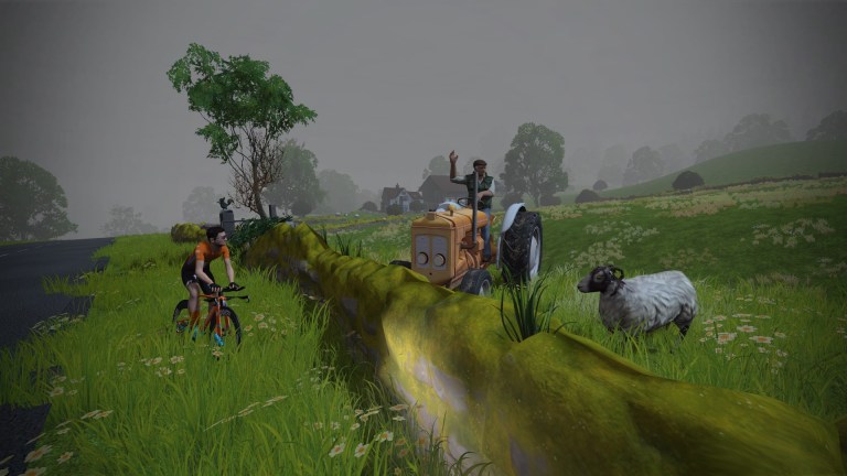 69984471_10216374616172221_3920606569112272896_o